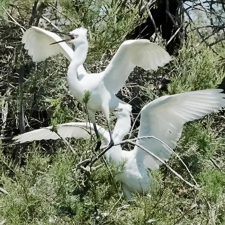 Beautiful In Feriehus *